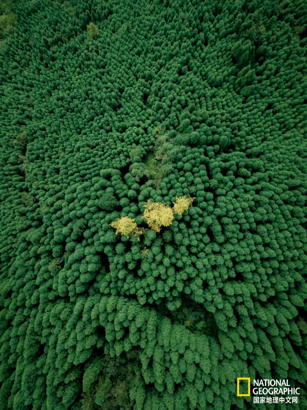 十五年了，512汶川地震最穿心遗址航拍