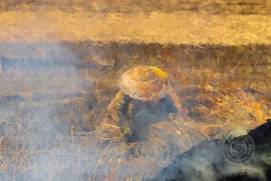 拍虚了？那是印象派！